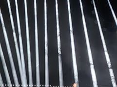 -宝能国际体育演艺中心