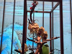 -梁家大院(昆山会展中心店)