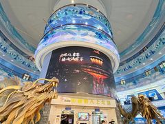 -龙塔