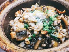 -红星光发煲仔饭(大石街店)