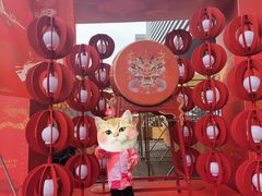 -龙湖成都上城天街