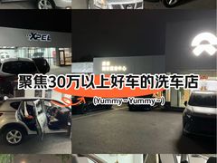 -XPEL旗舰店·汽车贴膜·隐形车衣·改色贴膜