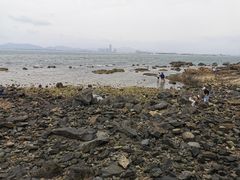 -养马岛旅游度假区