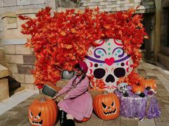 -大连海昌发现王国主题公园