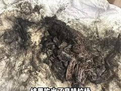 -御面斋精品面馆