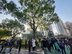 -苏州河梦清园环保主题公园