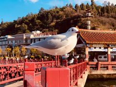 -大理洱海