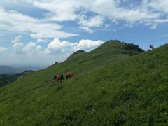 -灵山