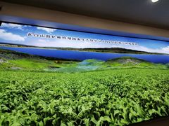 -日月永和中国餐饮名店(凤凰店)