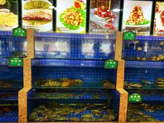 水产区-皇朝海鲜酒店