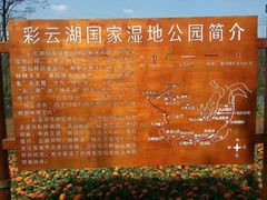 -重庆彩云湖湿地公园
