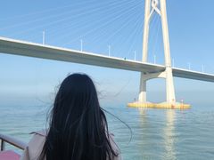 -招商蛇口邮轮母港(观光客运)
