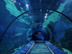 -福州罗源湾海洋世界旅游区