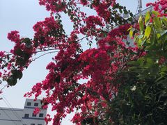 -抱德·潮汕味(敦和店原惠城鱼仔)