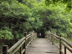 -杭州半山国家森林公园