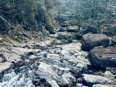 -安吉龙王山风景区