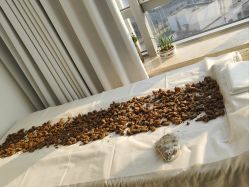 -姜美堂·蒸姜除湿の纤体美颜馆