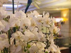 -国际饭店·原点咖啡吧ORIGIN CAFE&BAR