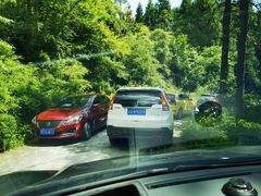 -武陵山森林公园