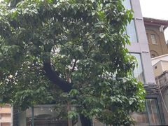 -和平馆·地道港澳茶餐厅(西门口店)