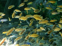 -福州罗源湾海洋世界旅游区