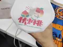-伏小桃(萧山银隆店)