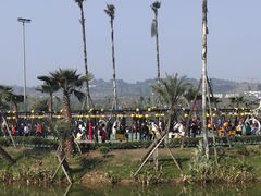 -枫香湖儿童公园