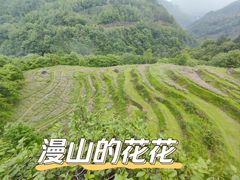 -石台牯牛降景区