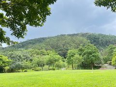 -火炉山森林公园