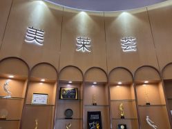 -深圳美莱医疗美容医院