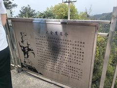 -大金鹰园