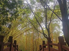 -水濂山森林公园