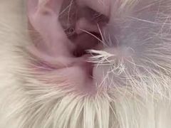 -comecome来吧宠物(奥克斯中心店)