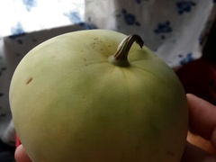 android_upload_pic-百盛(中山路店)