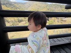 -大唐贡茶院