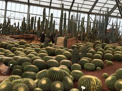 -南通洲际绿博园