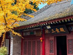 -少华山国家森林公园
