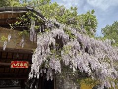 -李东农庄(中南百草园地标店)