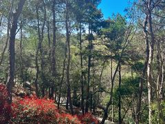 -虞山风景区