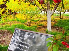 -海棠花溪(元大都城垣遗址公园)