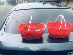 -樱桃山旅游景区