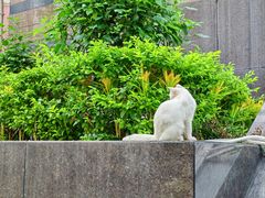 -广州天河城购物中心