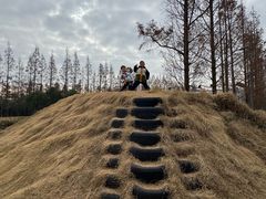 -前小桔亲子创意农场·草莓采摘·露营烧烤