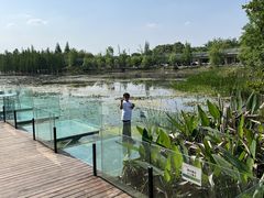 -白鹭湾湿地公园