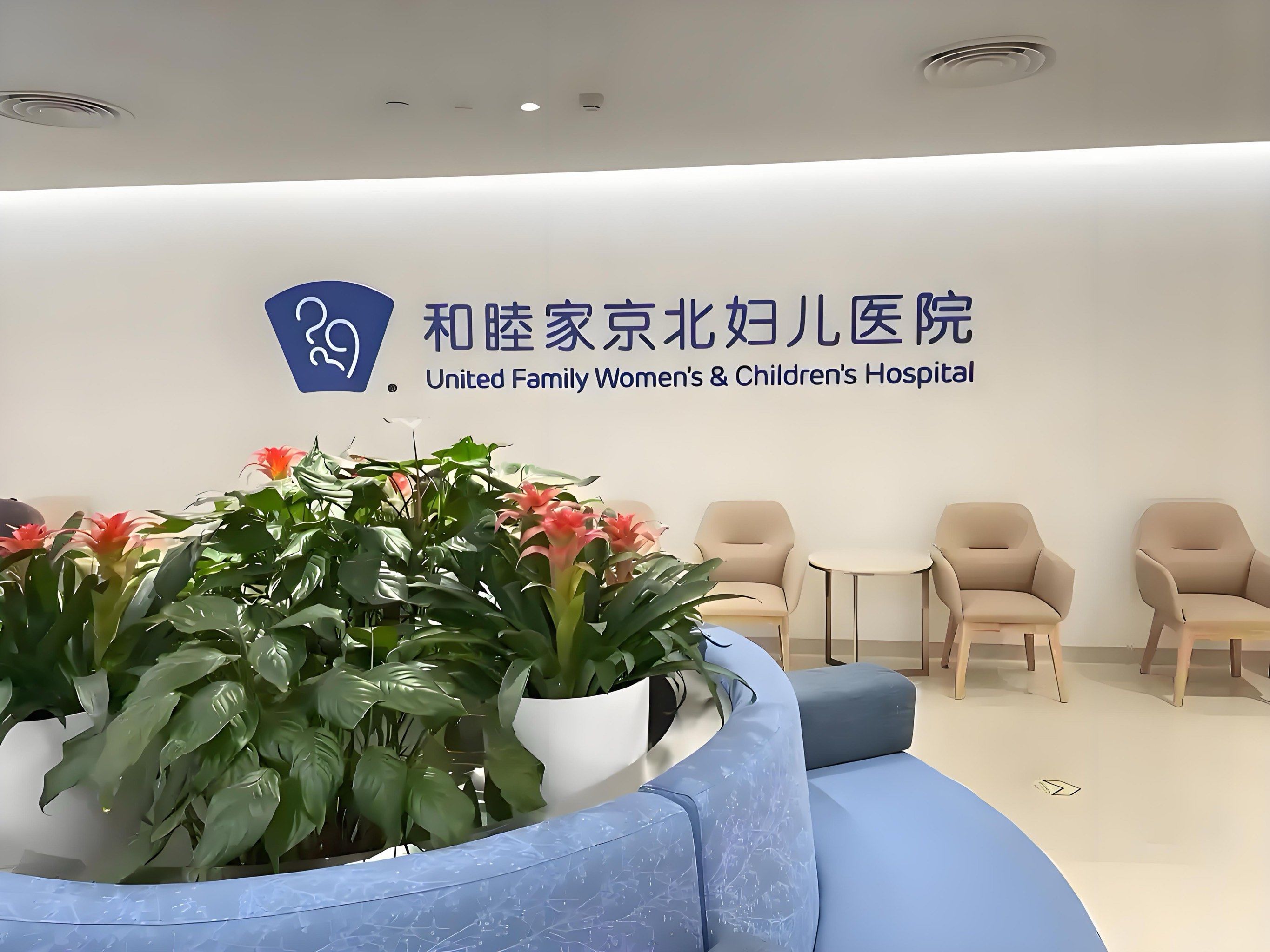 北京首都儿研所、全程陪同代挂号，口碑高效率快的简单介绍