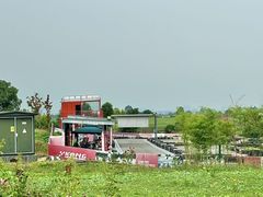 -空港花田景区