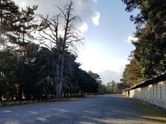 -京都御所