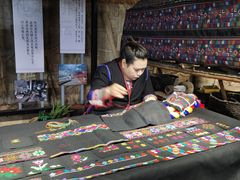 -西双版纳原始森林公园