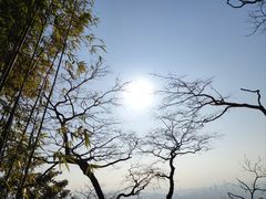 -梧桐山风景名胜区