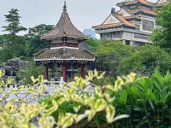 -顺峰山公园